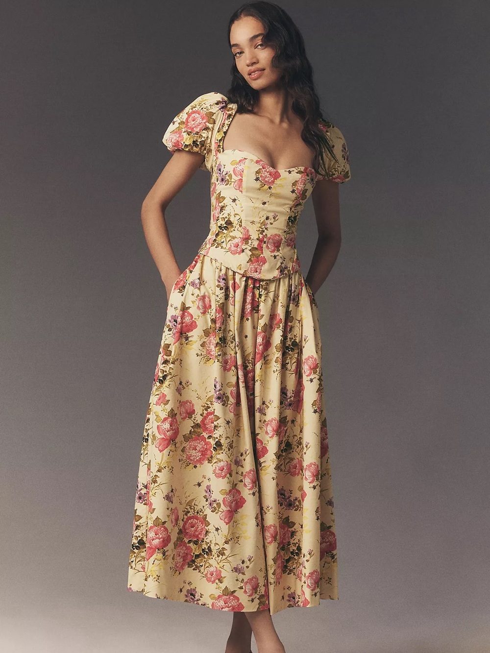 Anthropologie / BHLDN Puff-Sleeve Corset A-Line Dress 🌸🧚🏼‍♀️🌸🌸🌷🧚🏼‍♀️🌸🌼🌼💐💐🌼